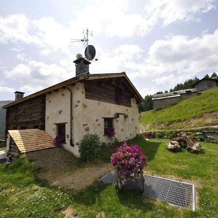Mountain Chalet Scoiattolo By Livigno Accomodation 外观 照片