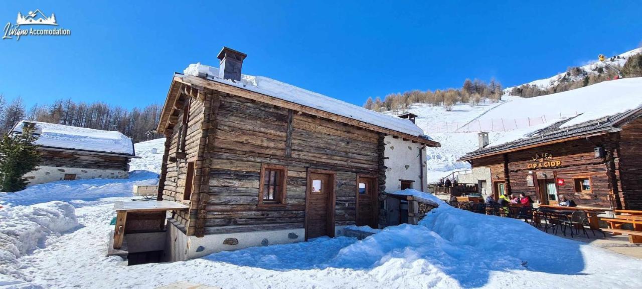 Mountain Chalet Scoiattolo By Livigno Accomodation 外观 照片