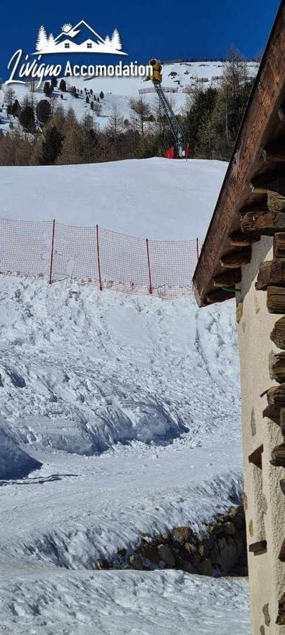 Mountain Chalet Scoiattolo By Livigno Accomodation 外观 照片