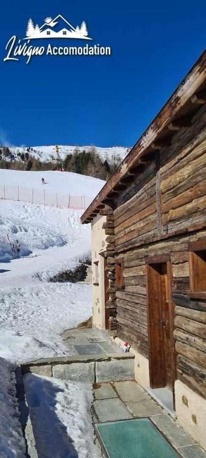 Mountain Chalet Scoiattolo By Livigno Accomodation 外观 照片