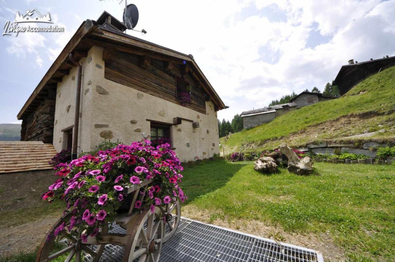 Mountain Chalet Scoiattolo By Livigno Accomodation 外观 照片