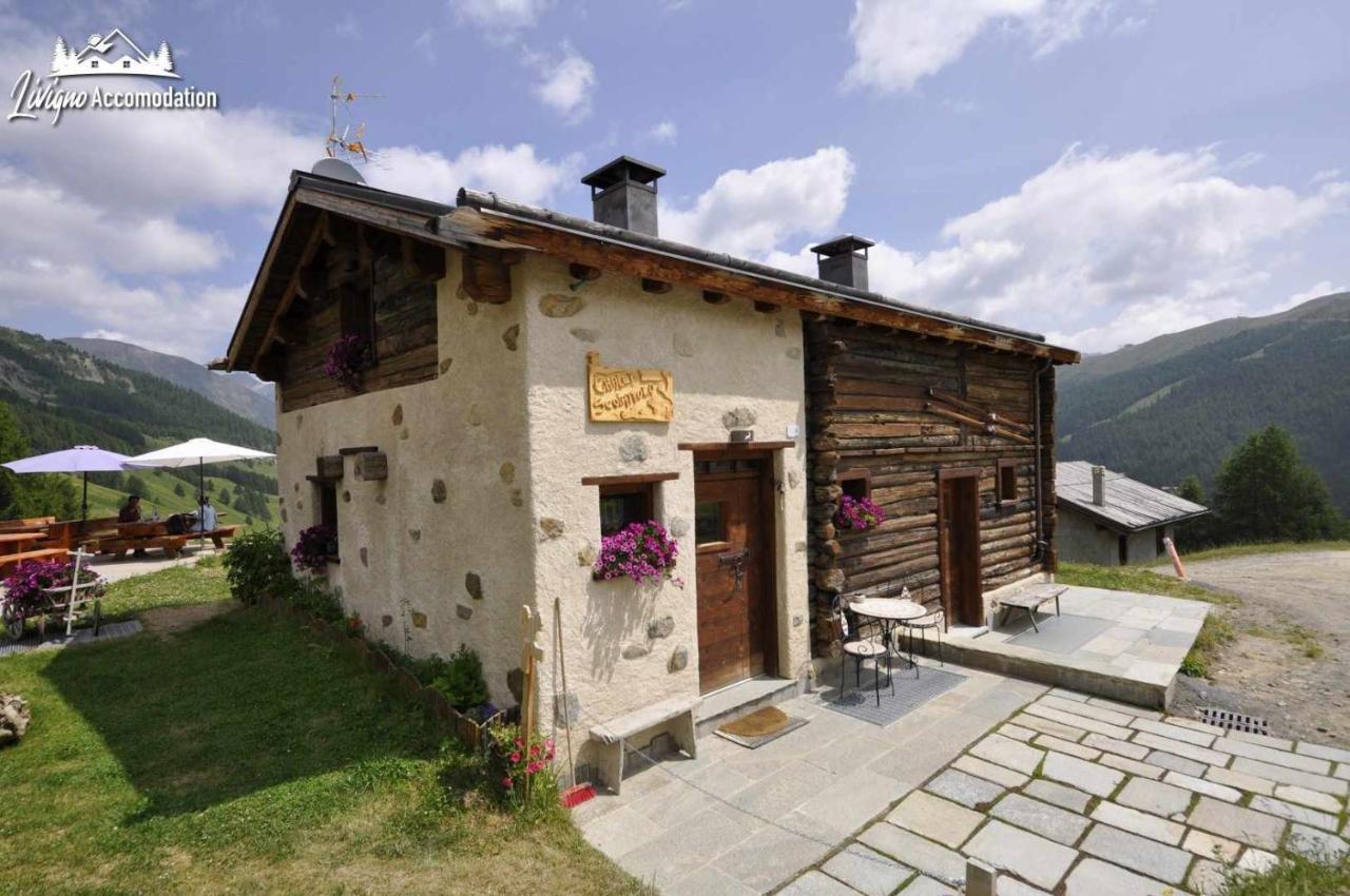 Mountain Chalet Scoiattolo By Livigno Accomodation 外观 照片