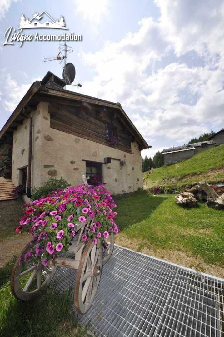 Mountain Chalet Scoiattolo By Livigno Accomodation 外观 照片