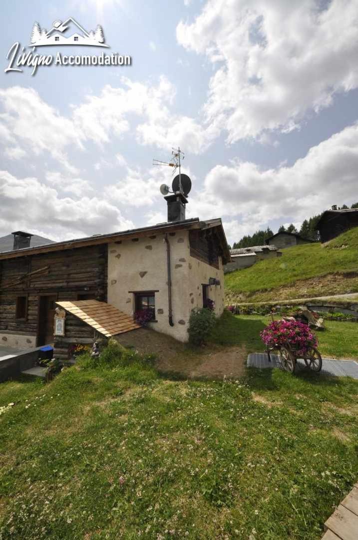 Mountain Chalet Scoiattolo By Livigno Accomodation 外观 照片