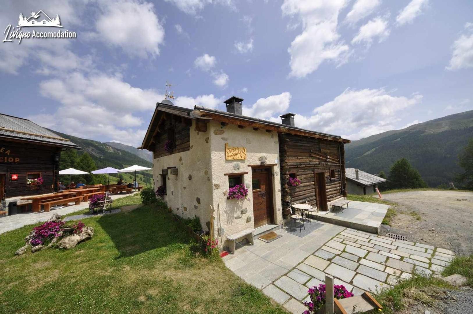 Mountain Chalet Scoiattolo By Livigno Accomodation 外观 照片