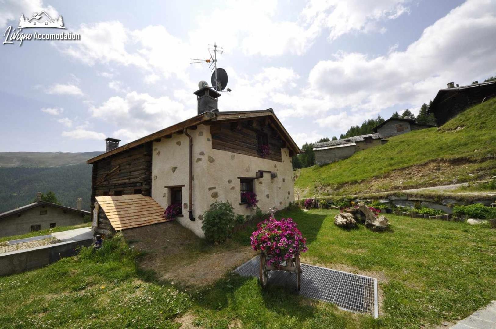 Mountain Chalet Scoiattolo By Livigno Accomodation 外观 照片
